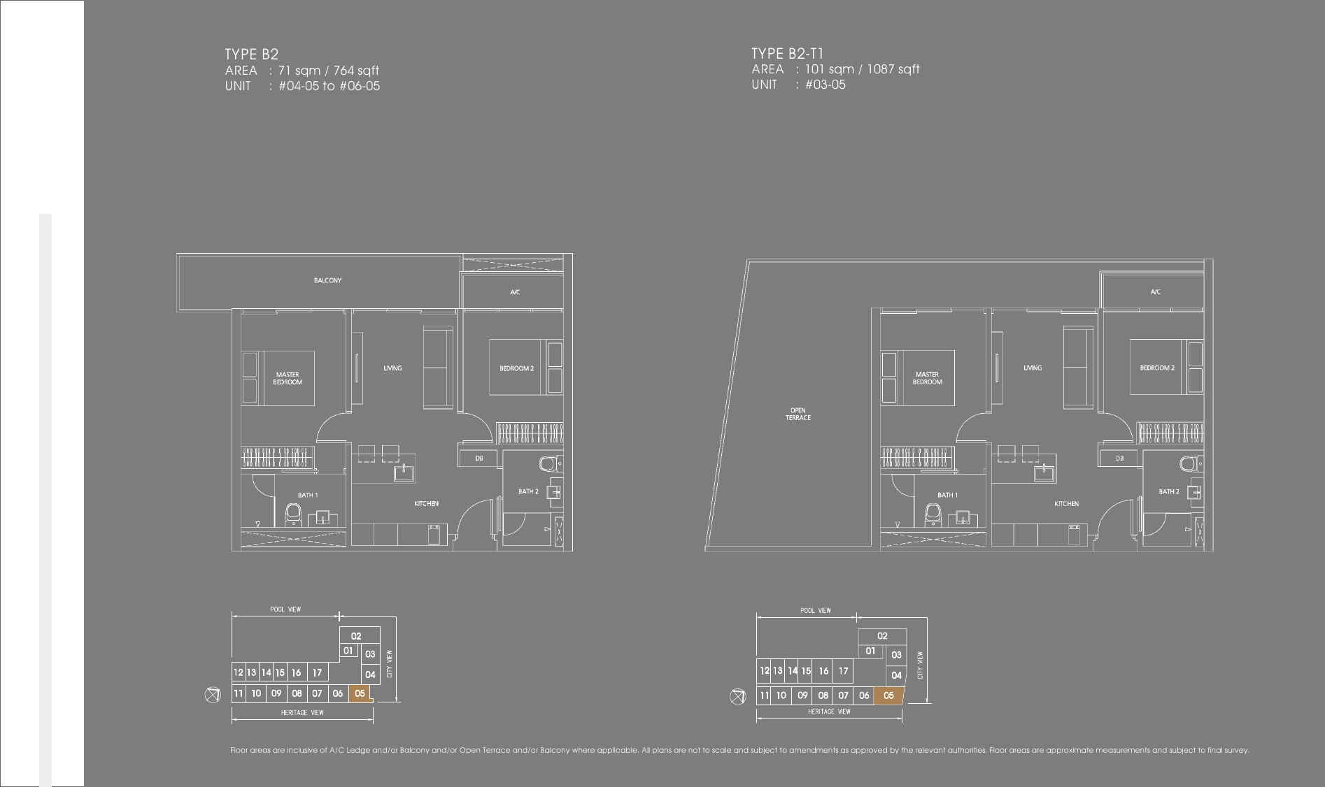 Types B2 and B2-T1